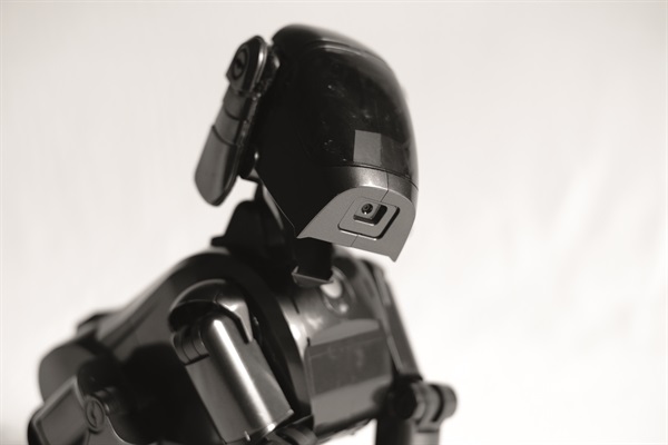 Aibo ERS-111 Black (Foto di Valentino Candiani)