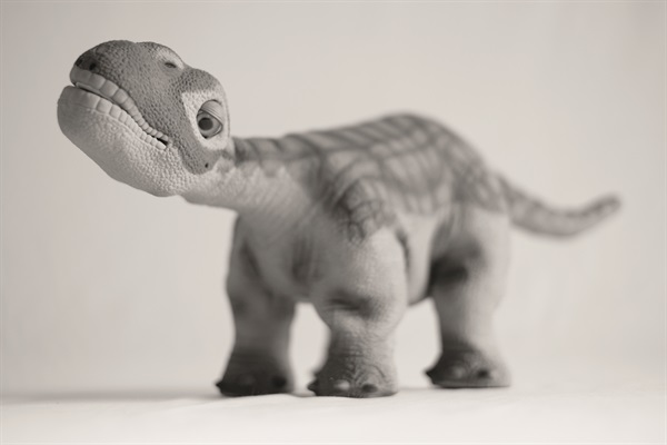 Pleo (Foto di Valentino Candiani)