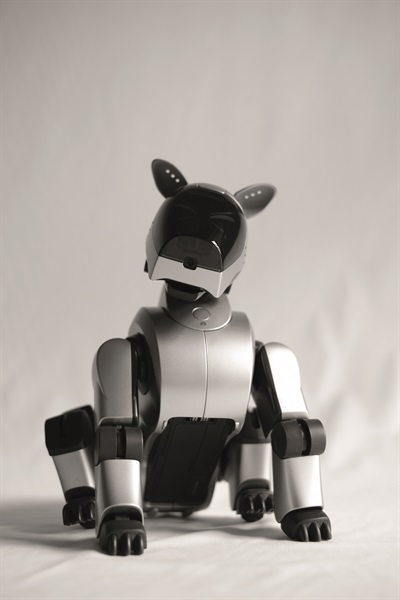 Aibo ERS-210 Beige (Foto di Valentino Candiani)