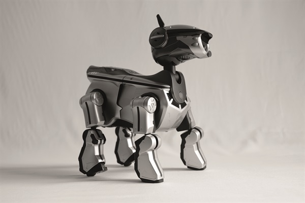 Aibo ERS-220 Silver (Foto di Valentino Candiani)
