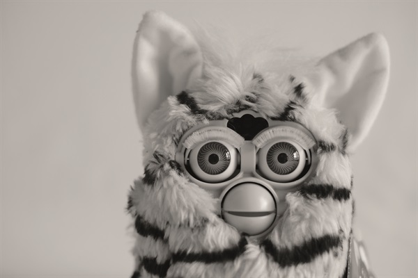 Furby (Foto di Valentino Candiani)