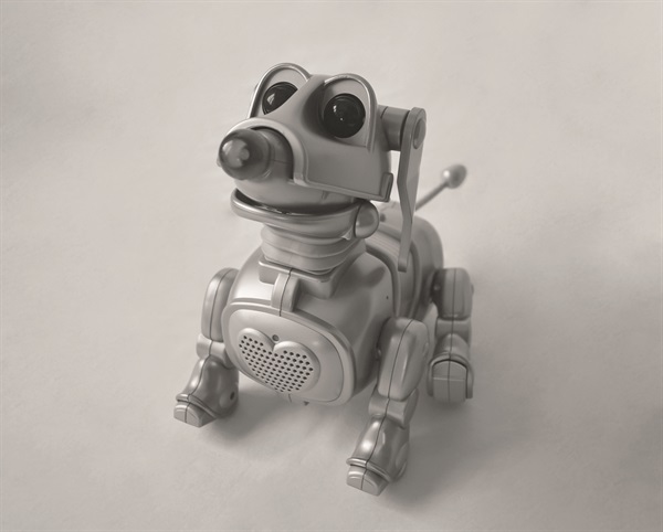 Dog.Com (Foto di Valentino Candiani)