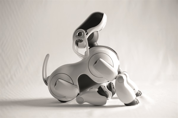 Aibo ERS-7M3 White Pearl (Foto di Valentino Candiani)