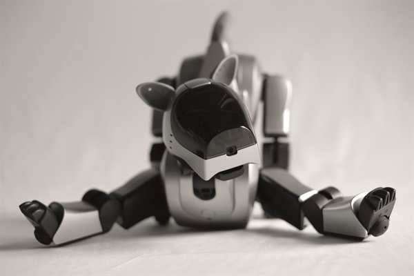 Aibo ERS-210 Beige (Foto di Valentino Candiani)