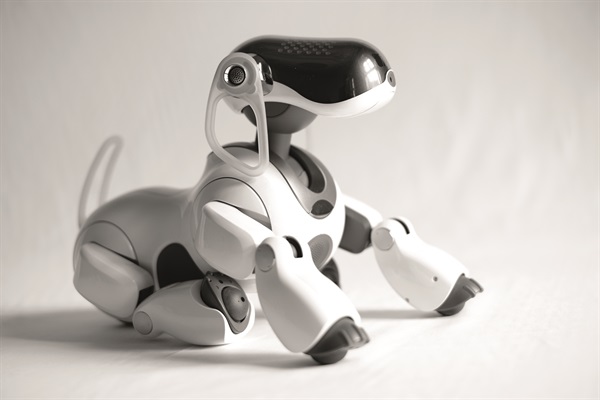 Aibo ERS-7M3 White Pearl (Foto di Valentino Candiani)