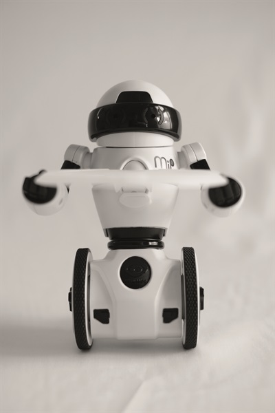 MiP (Foto di Valentino Candiani)