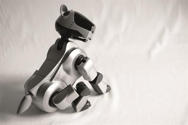 Aibo ERS-210 Beige (Foto di Valentino Candiani)