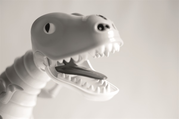 Zoomer Dino (Foto di Valentino Candiani)