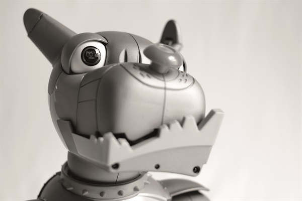 Wrex The Dawg (Foto di Valentino Candiani)