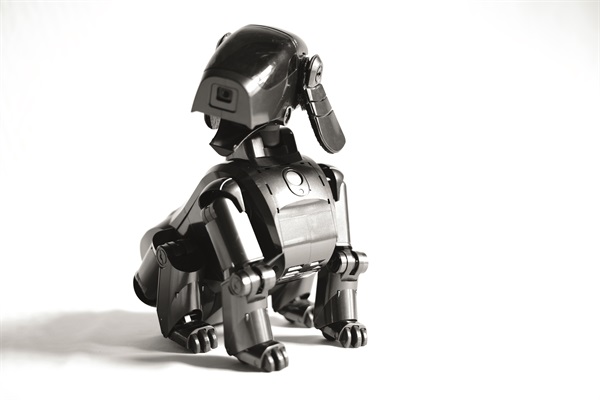 Aibo ERS-111 Black (Foto di Valentino Candiani)