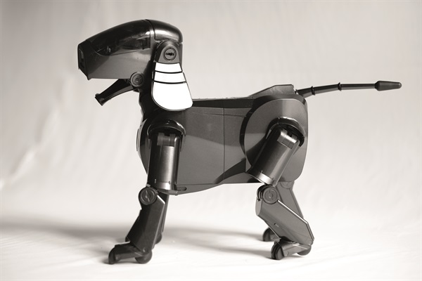 Aibo ERS-111 Black (Foto di Valentino Candiani)