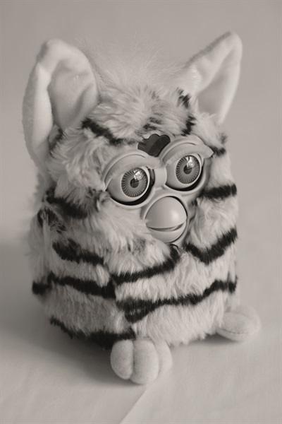 Furby (Foto di Valentino Candiani)