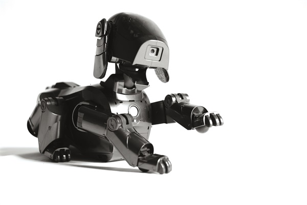 Aibo ERS-111 Black (Foto di Valentino Candiani)
