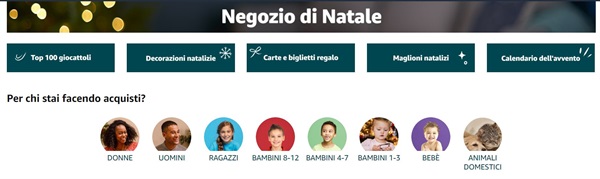 Negozio di Natale BF