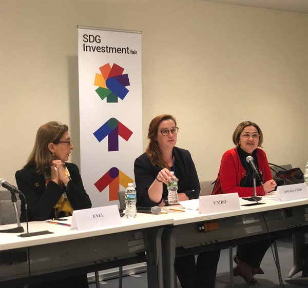 Panel discussion SDGI Fair .jpg