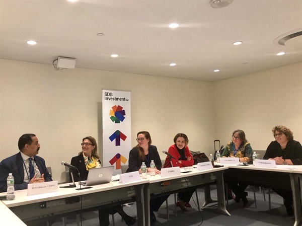 Panel Discussion SDGI Fair.jpg