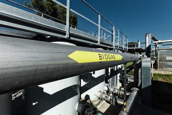 impianto  biogas per produzione energia elettrica.jpg