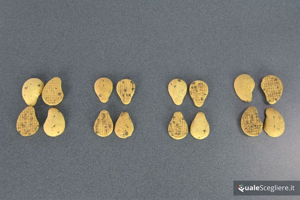 biscotti_15.jpg