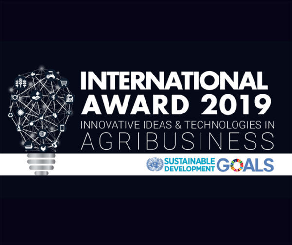 Premio Internazionale 2019 