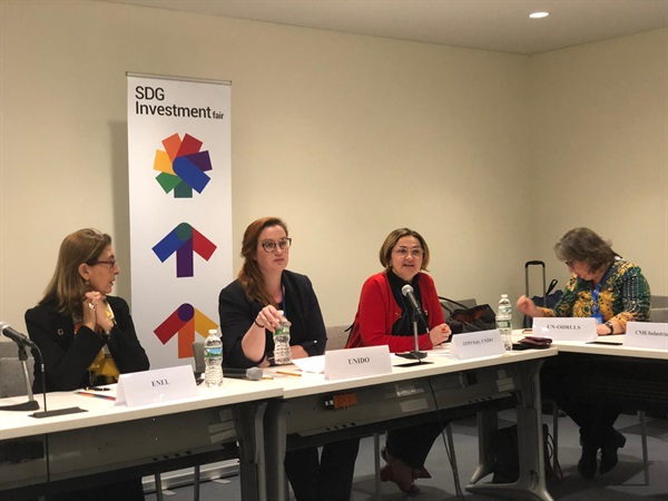 Panel Discussion SDGI  Fair.jpg