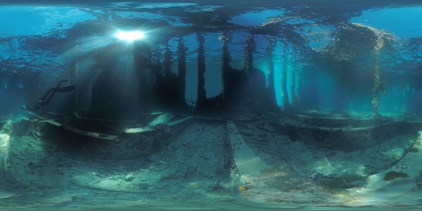 Dolphin Man di Benoît Lichté (Francia)