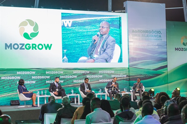 Mozgrow 2019 - panel