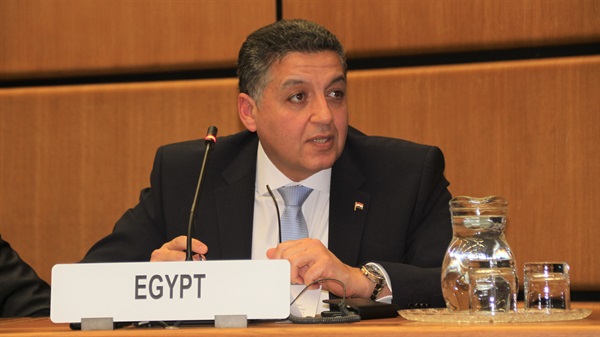 Amb. Mr. Omar Amer Youssef, Permanent Representative of Egypt