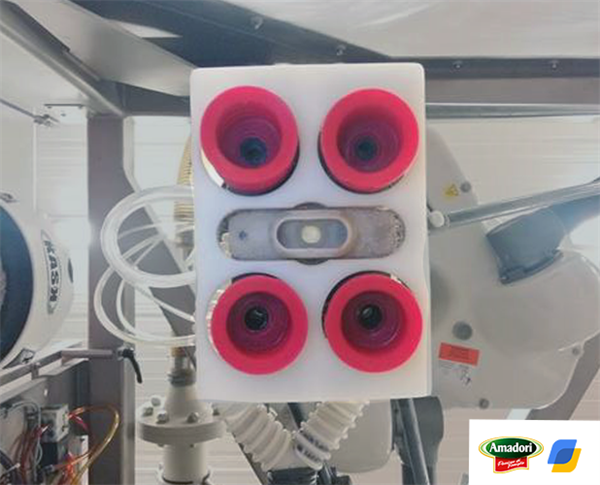 Progetto Amadori: pezzo originale