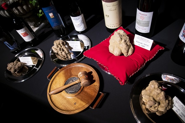 Credits Giorgio Perottino Getty Images for Ente Fiera Internazionale del Tartufo Bianco d’Alba 