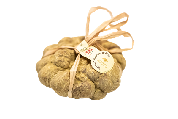 Tartufo Bianco d’Alba
