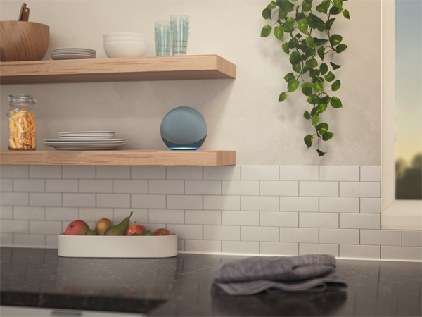 Echo di 4° generazione - foto ambientata