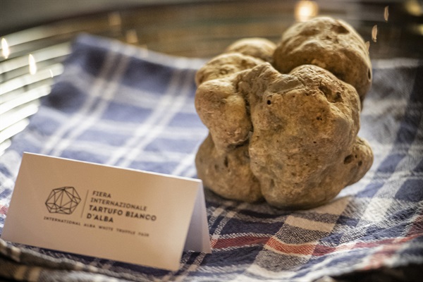 Tartufo Reale 2020 Credits: “Giorgio Perottino – Getty Images for Ente Fiera Internazionale del Tartufo Bianco d’Alba”