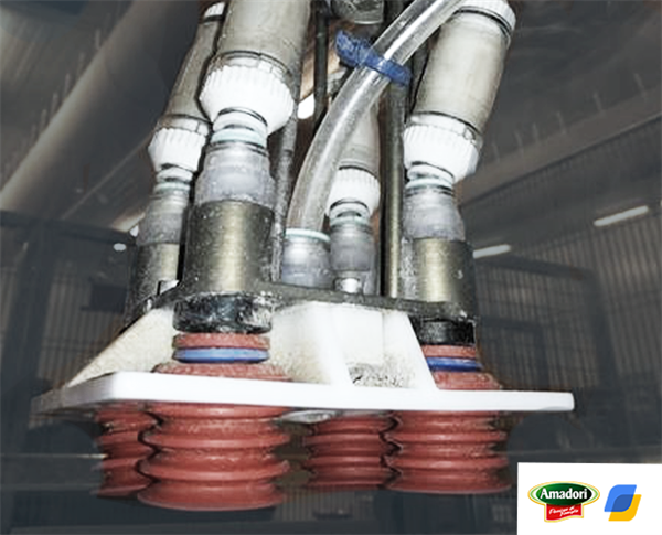 Progetto Amadori: pezzo originale