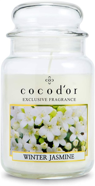 Candela profumata  Amazon  Launchpad 