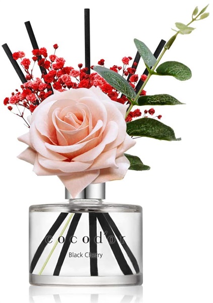 Diffusore ambiente launchpad  Amazon  Launchpad 