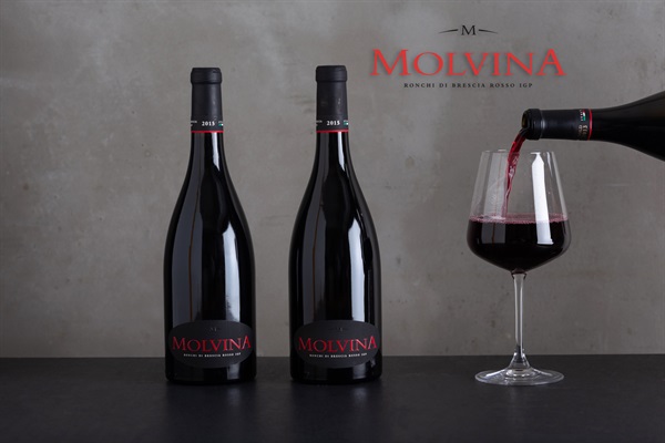 Molvina Wine  - PMI di Brescia aderente ad Amazon Made in Italy e alla vetrina Amazon Made in Italy Lombardia
