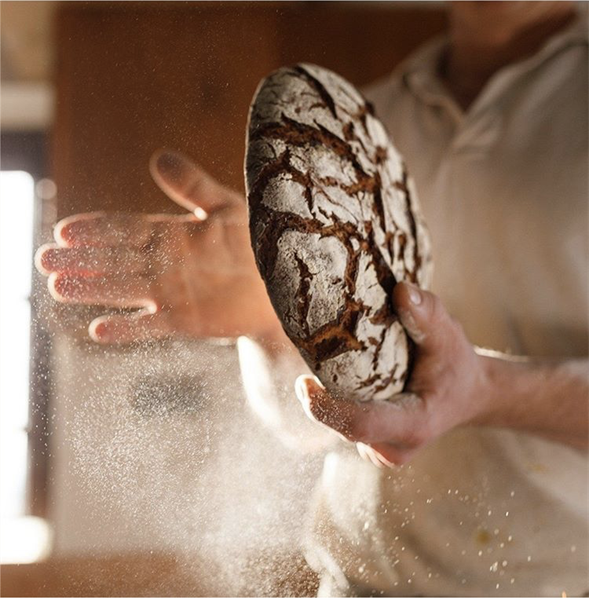 Rieper Amazon Made in Italy Trentino Alto Adige.png