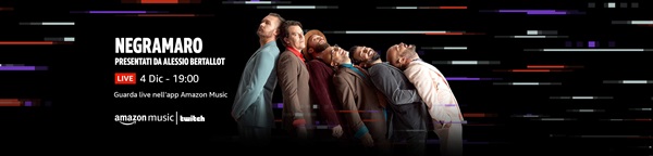 Banner concerto dei negramaro