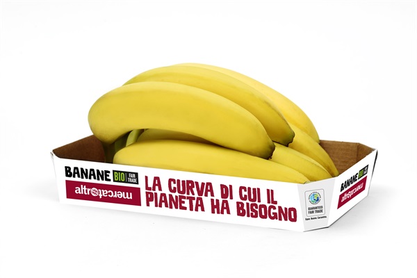 Pack parlante banane