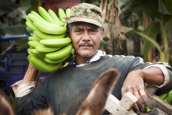 produttore Hualtaco Perù, credits AgrofairEurope 