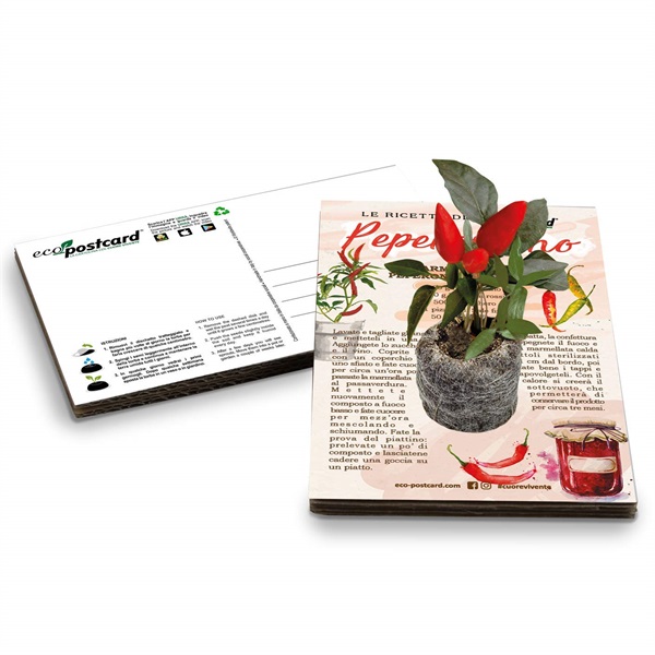Cartolina ecologica con semi di peperoncino.jpg