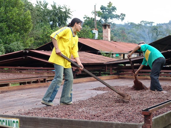 Dia Del Cacao