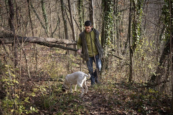 Credits Tino Gerbaldo