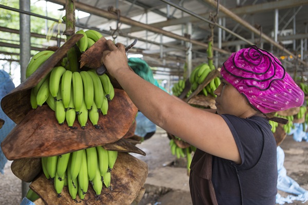 Coobana - Credits Beatrice de Blasi