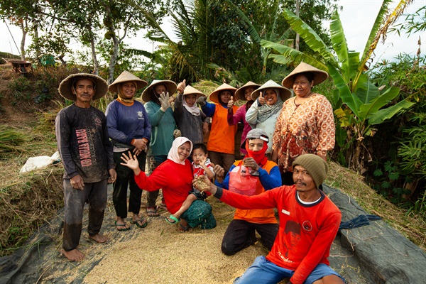 Post harvest Wonogiri - Credits Beatrice de Blasi
