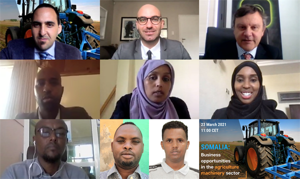 PanelSomalia1website.png