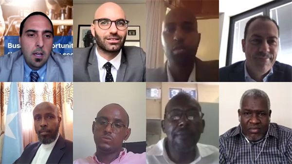 Webinar Somalia 2 Panel.png