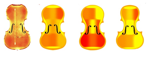 Figura 2, violino a sinistra: profilo di un violino storico © 2008 Stoel, Borman. Sulla destra tre esempi di tavole del dataset. 
