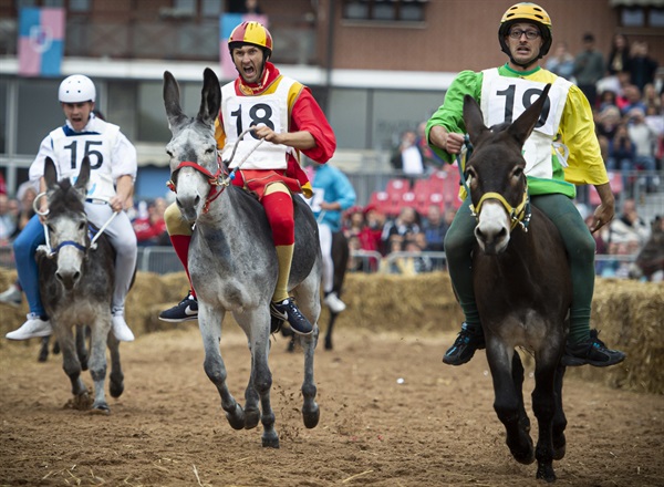 Credits Giorgio Perottino Getty Images for Ente Fiera Internazionale del Tartufo Bianco d’Alba 17