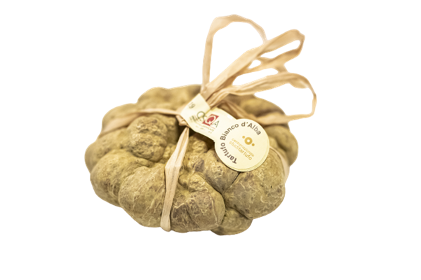 Tartufo Bianco d’Alba